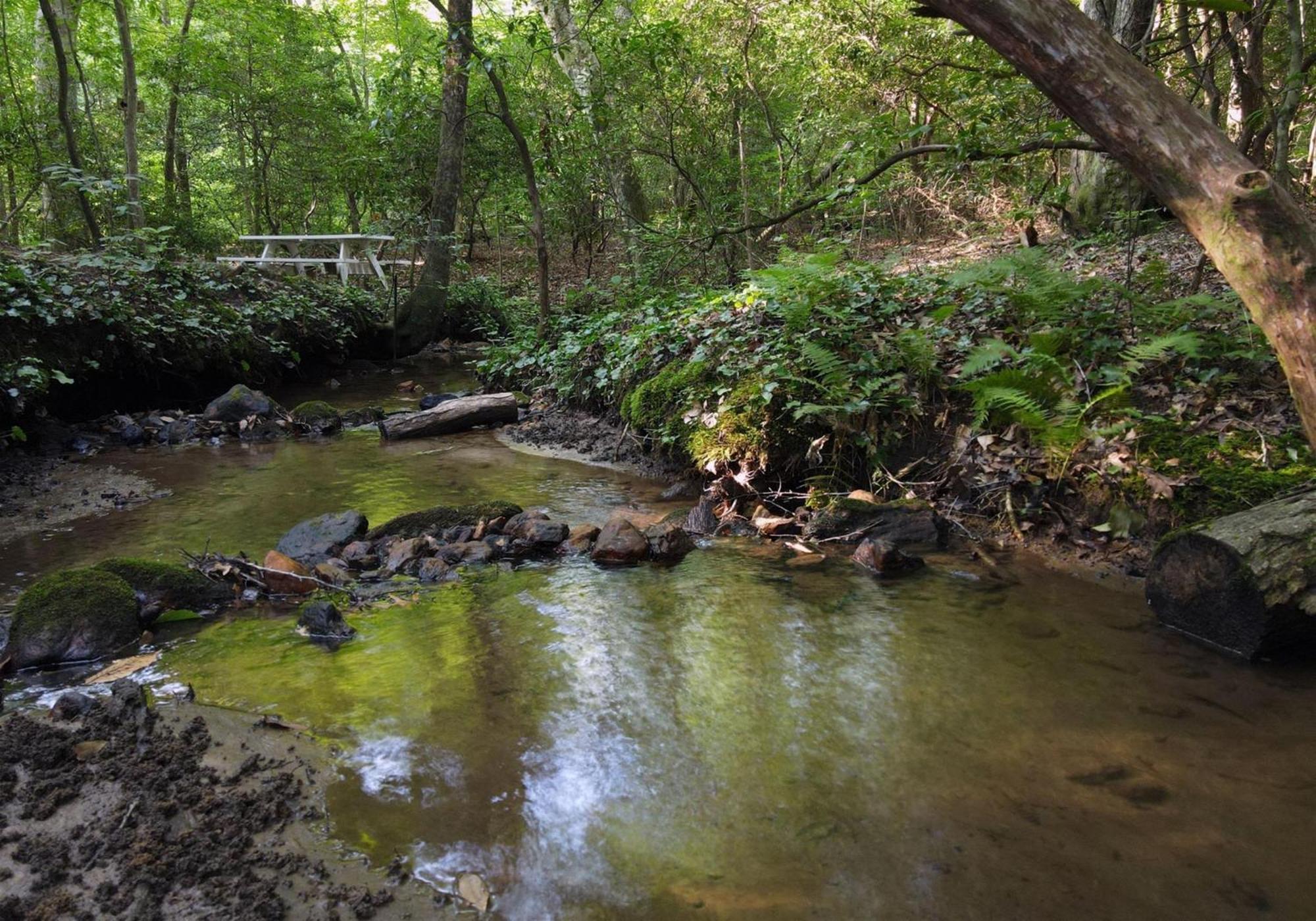 Вилла Laurel Creek- Блу-Ридж Экстерьер фото