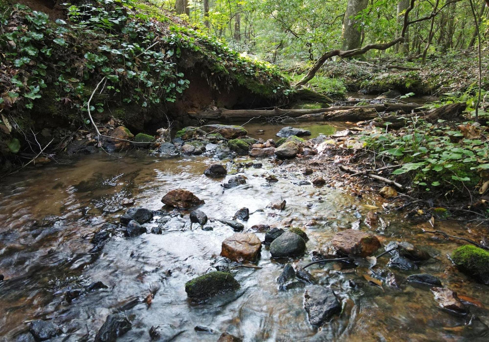Вилла Laurel Creek- Блу-Ридж Экстерьер фото